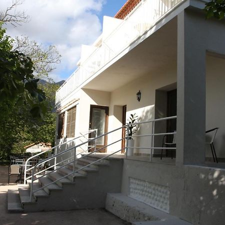 1Er Consul Sas A Bussinca Bed & Breakfast Bocognano Exterior photo
