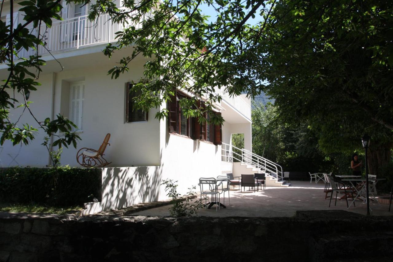 1Er Consul Sas A Bussinca Bed & Breakfast Bocognano Exterior photo