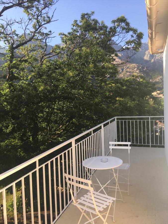 1Er Consul Sas A Bussinca Bed & Breakfast Bocognano Exterior photo